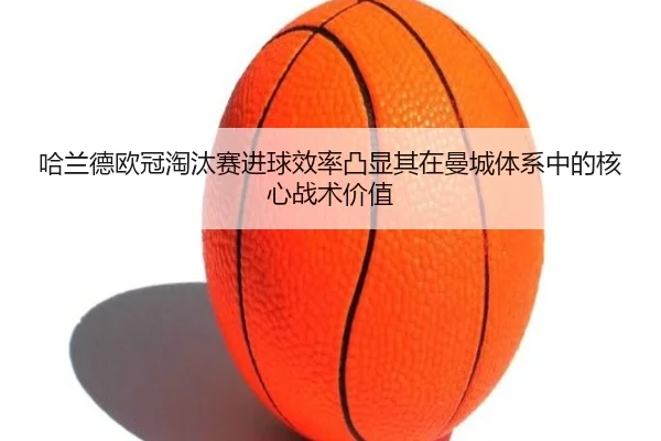 ha-lan-de-ou-guan-tao-tai-sai-jin-qiu-xiao-lv-tu-xian-qi-zai-man-cheng-ti-xi-zhong-de-he-xin-zhan-shu-jia-zhi-2-387.jpg